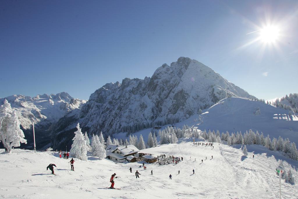 Appartment Laerchenalm Sankt Martin am Tennengebirge Exterior foto